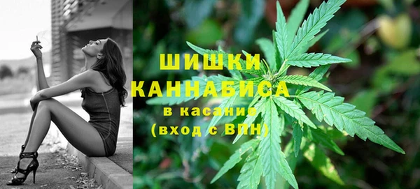 хмурый Верея