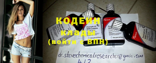 хмурый Верея