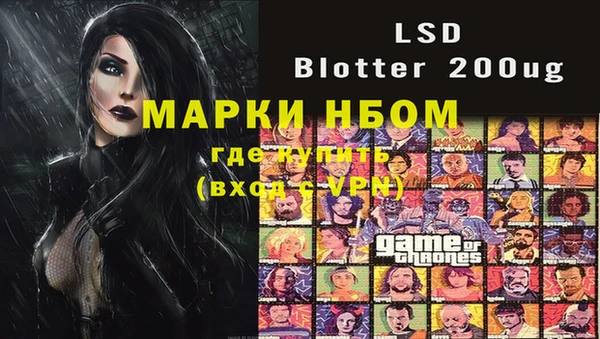 хмурый Верея