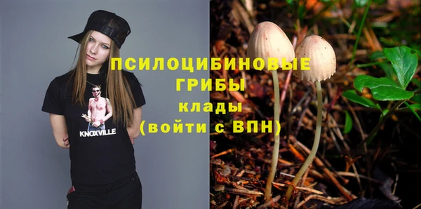 хмурый Верея
