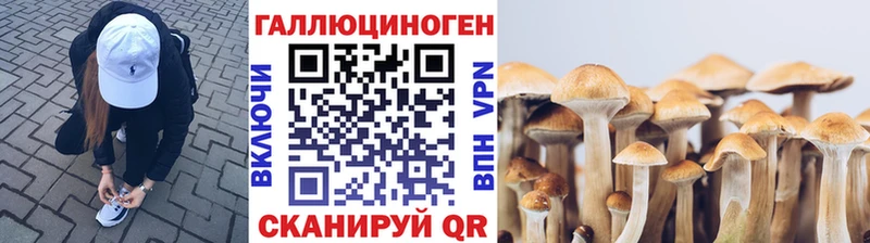 где продают   Ялта  Псилоцибиновые грибы Magic Shrooms 